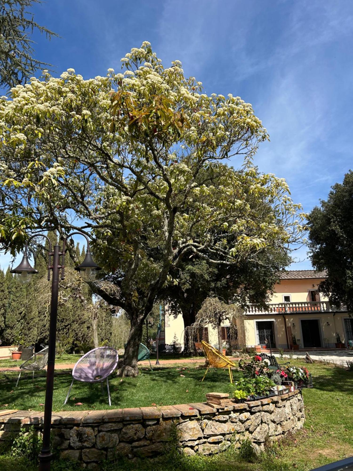 Mucellena Aparthotel