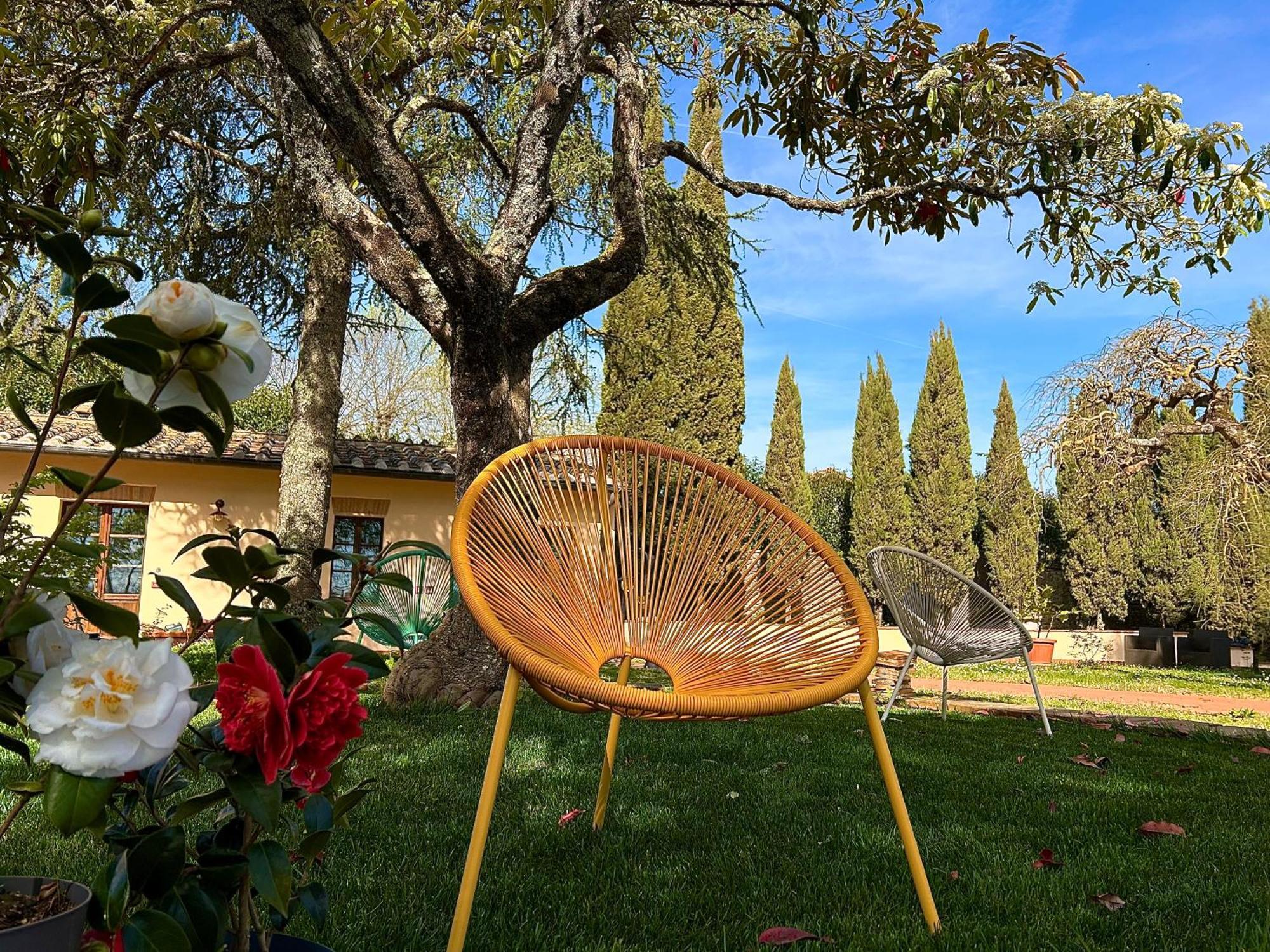 Mucellena 5*